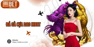Đá Gà Cựa Dao MBET