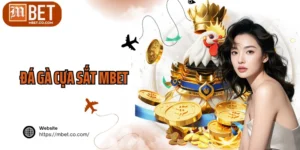 Đá Gà Cựa Sắt MBET