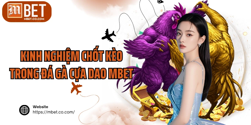 Kinh nghiệm chốt kèo trong đá gà cựa dao MBET