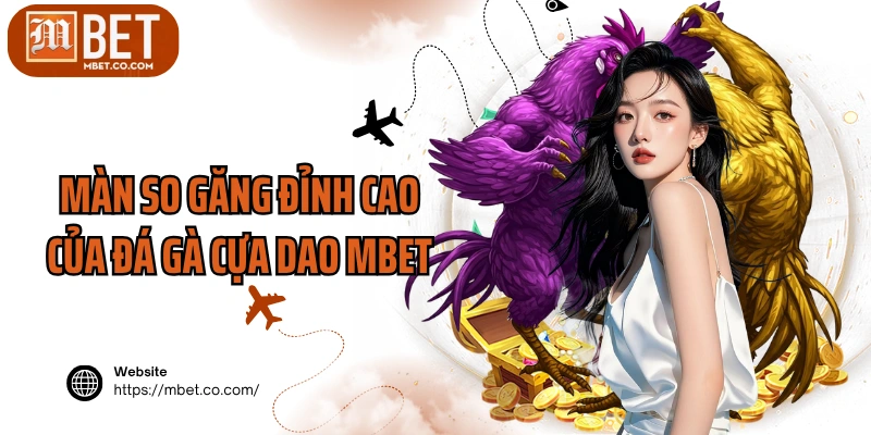 Màn so găng đỉnh cao của đá gà cựa dao MBET