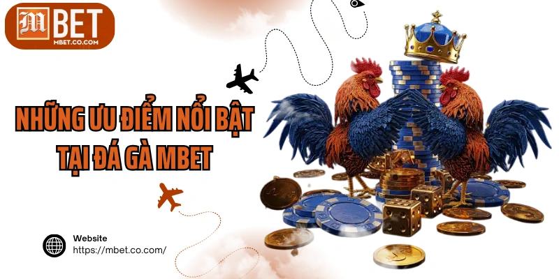 Những ưu điểm nổi bật tại đá gà MBET