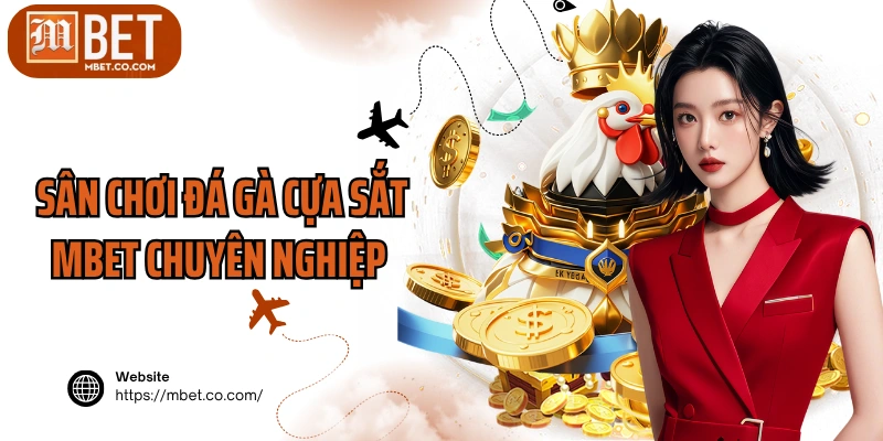 Sân chơi đá gà cựa sắt MBET chuyên nghiệp