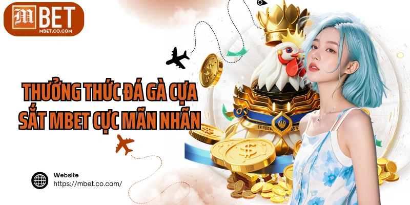 Thưởng thức đá gà cựa sắt MBET cực mãn nhãn